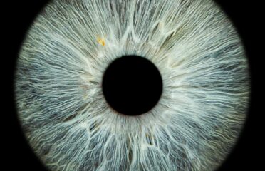 blog-grid-1-410x308