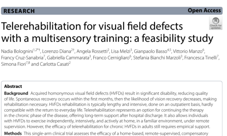 Telerehabilitation for visual field defects with a multisensory training: a feasibility study