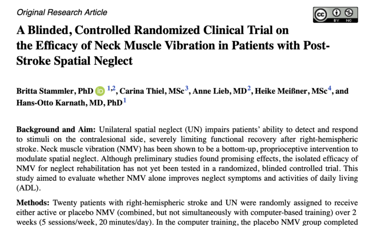 Juni: A Blinded, Controlled Randomized Clinical Trial on the Efficacy of Neck Muscle Vibration in Patients with Post-Stroke Spatial Neglect